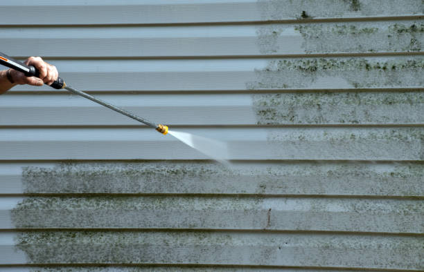 Trusted Mount Pleasant, SC Pressure Washing Experts